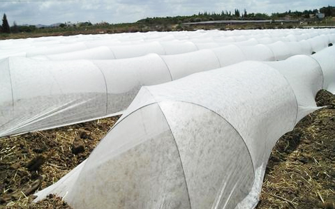 J. K. Farming - Crop Cover